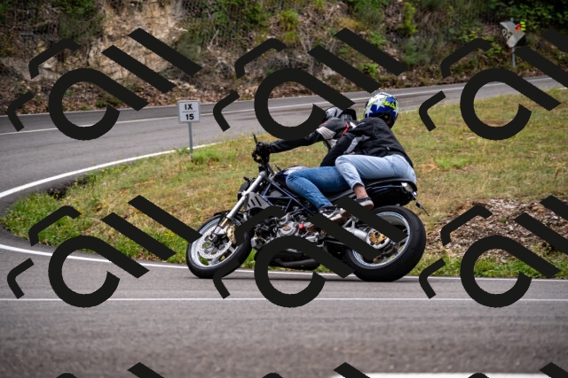 202508171115-_DSC4994_d2_