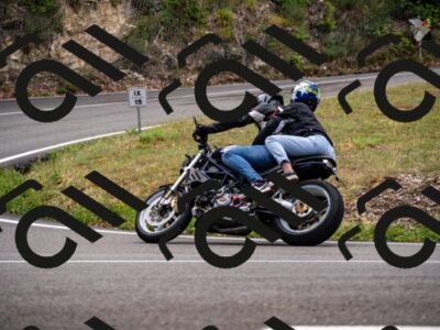 202508171115-_DSC4994_d2_