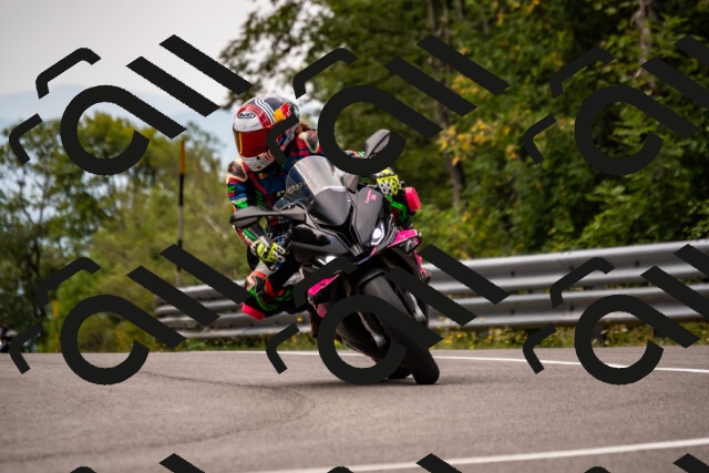 202508171116-_DSC5000_d2_