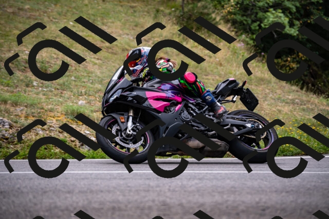 202508171116-_DSC5002_d2_