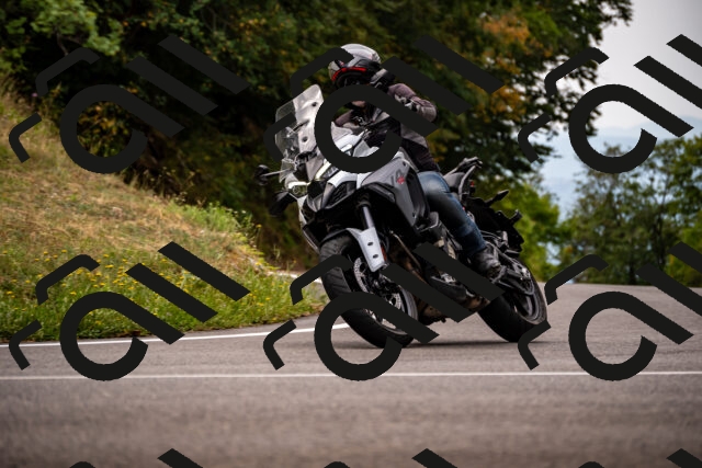 202508171116-_DSC5010_d2_