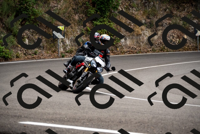 202508171117-_DSC5016_d2_