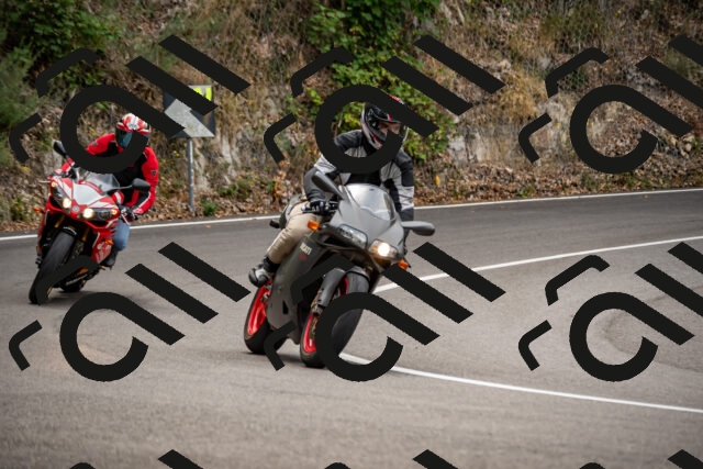 202508171120-_DSC5024_d2_