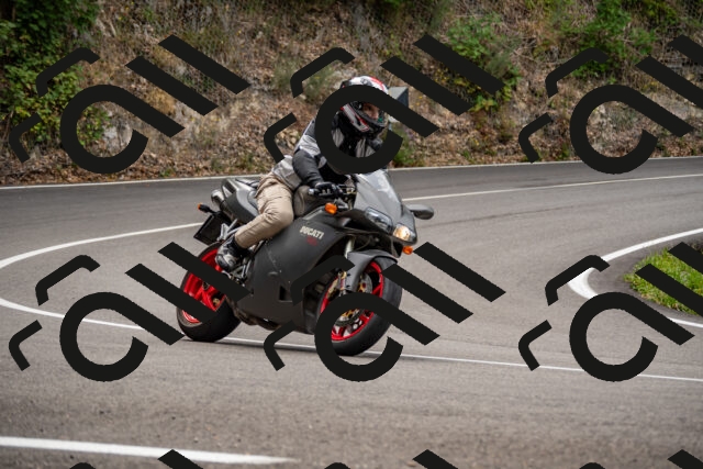 202508171120-_DSC5025_d2_