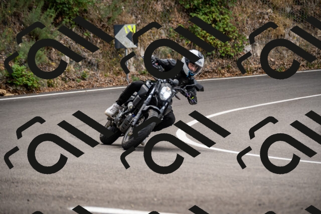 202508171123-_DSC5030_d2_