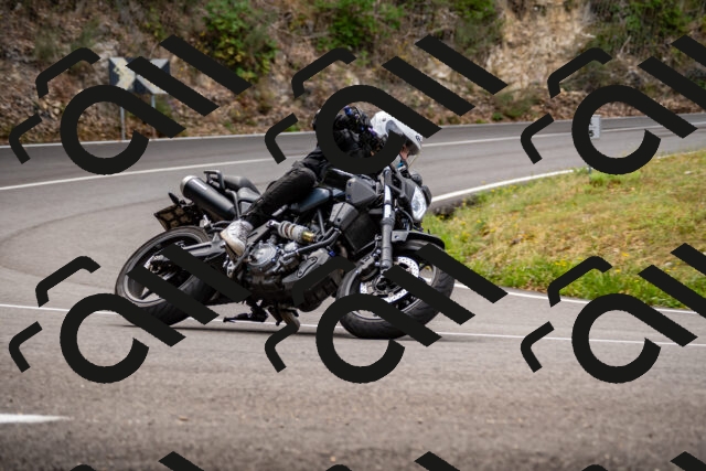 202508171123-_DSC5031_d2_