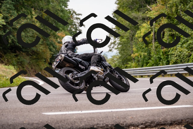 202508171123-_DSC5033_d2_