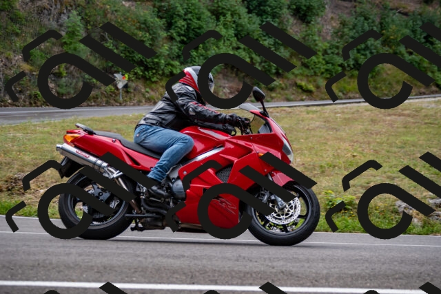 202508171124-_DSC5037_d2_