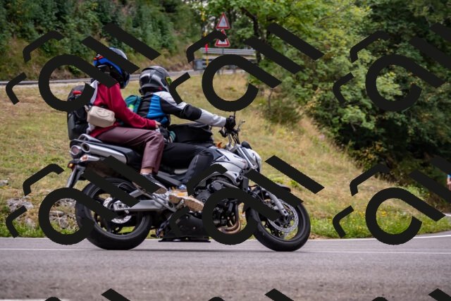 202508171125-_DSC5043_d2_