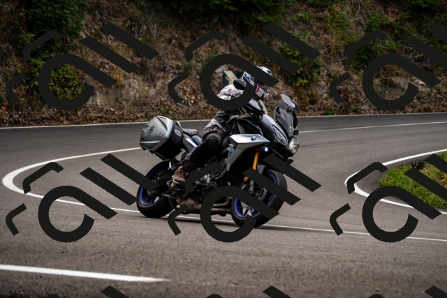 202508171127-_DSC5045_d2_