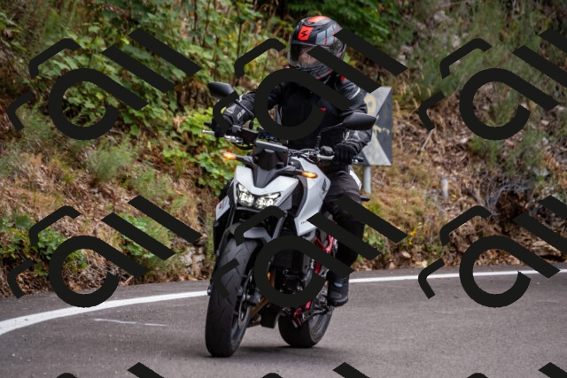 202508171132-_DSC5072_d2_