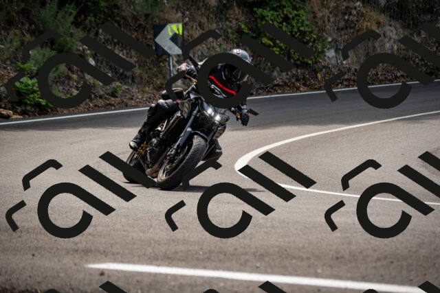 202508171148-_DSC5126_d2_