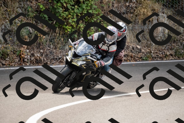 202508171150-_DSC5135_d2_