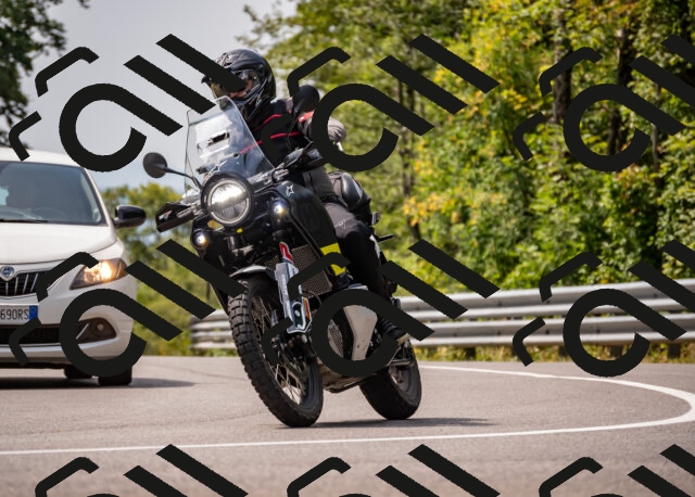 202508171200-_DSC5185_d2_