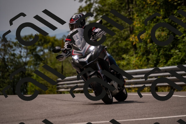 202508171203-_DSC5190_d2_