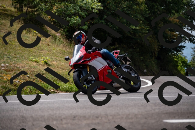 202508171203-_DSC5196_d2_