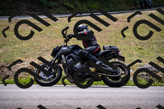 202508171204-_DSC5199_d2_