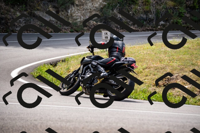 202508171204-_DSC5200_d2_