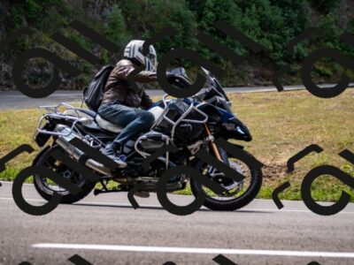 202508171204-_DSC5203_d2_