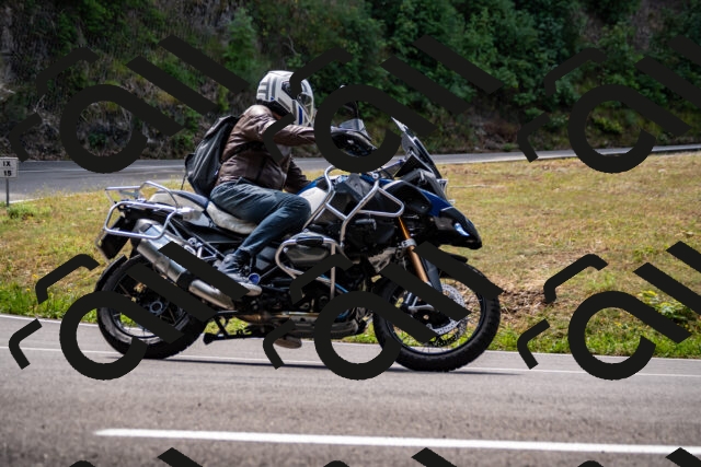 202508171204-_DSC5203_d2_