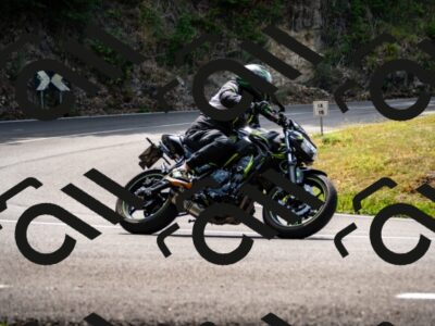 202508171205-_DSC5206_d2_