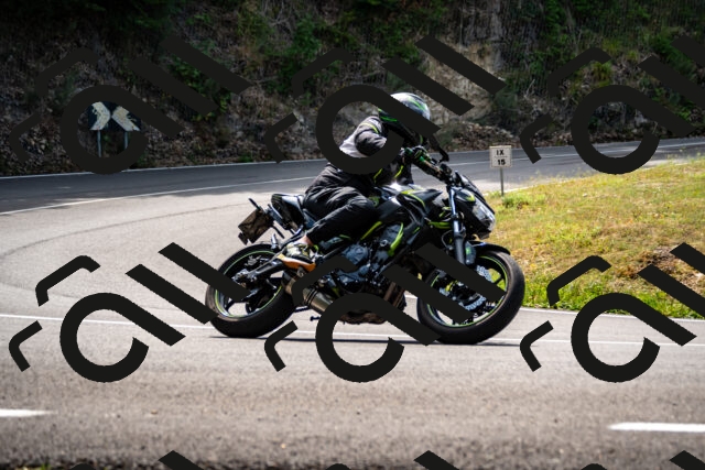 202508171205-_DSC5206_d2_