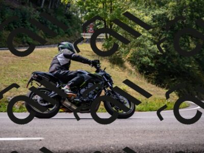 202508171205-_DSC5207_d2_