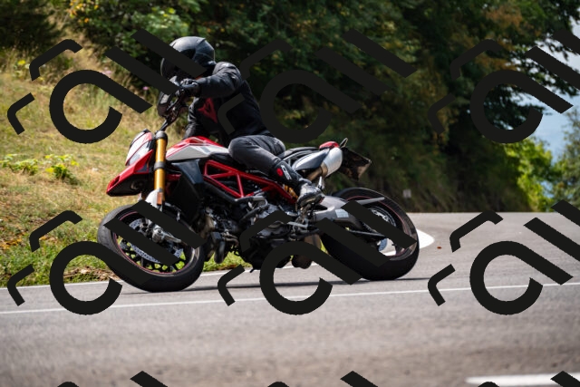 202508171206-_DSC5208_d2_