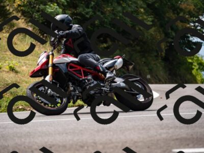 202508171206-_DSC5208_d2_