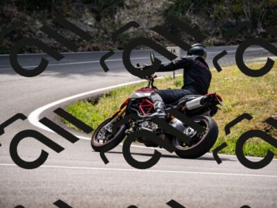 202508171206-_DSC5210_d2_