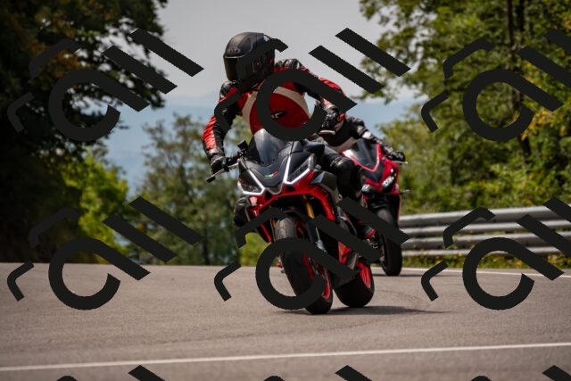 202508171207-_DSC5211_d2_