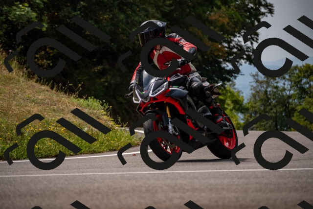 202508171207-_DSC5212_d2_