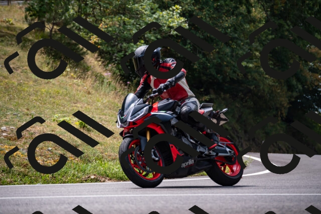 202508171207-_DSC5213_d2_