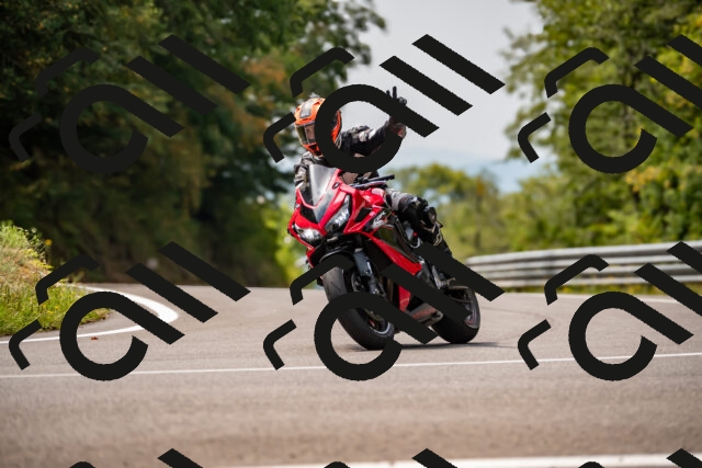 202508171207-_DSC5214_d2_