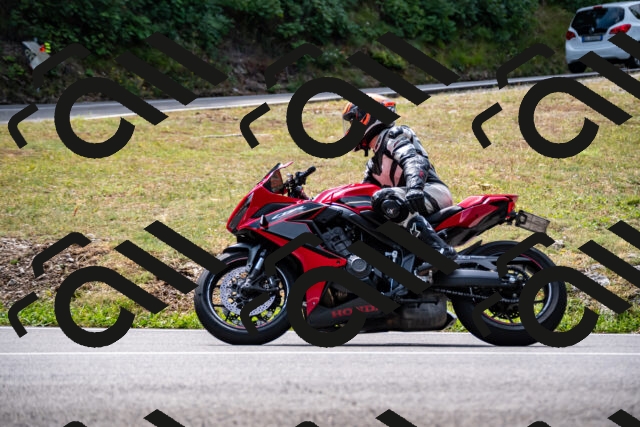 202508171207-_DSC5217_d2_