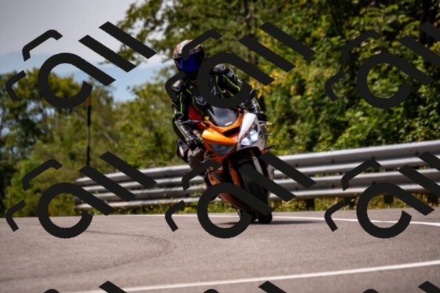 202508171208-_DSC5218_d2_