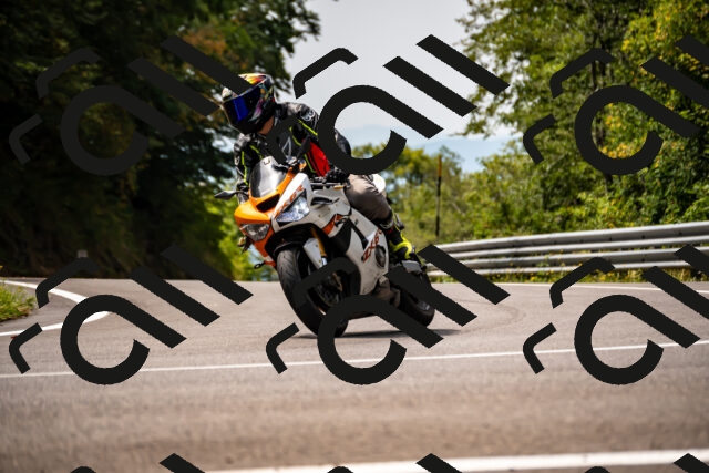 202508171208-_DSC5219_d2_