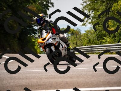 202508171208-_DSC5219_d2_