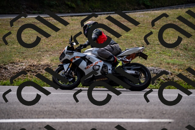 202508171208-_DSC5220_d2_