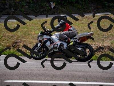 202508171208-_DSC5221_d2_