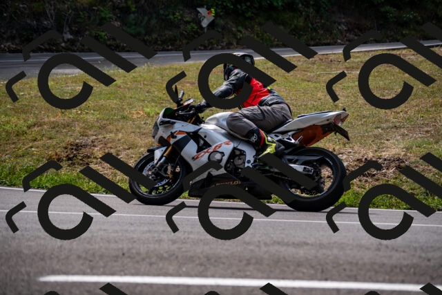 202508171208-_DSC5221_d2_