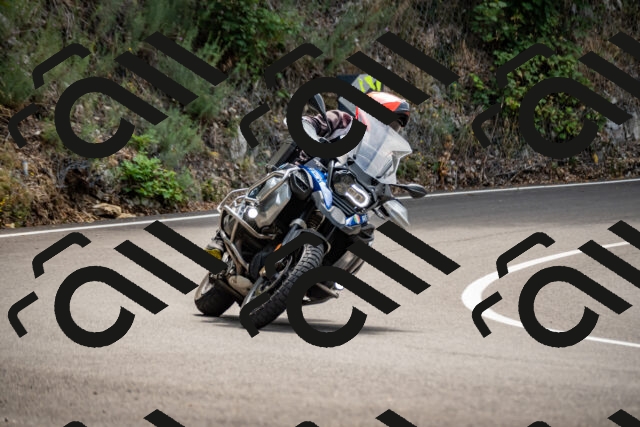 202508171208-_DSC5223_d2_