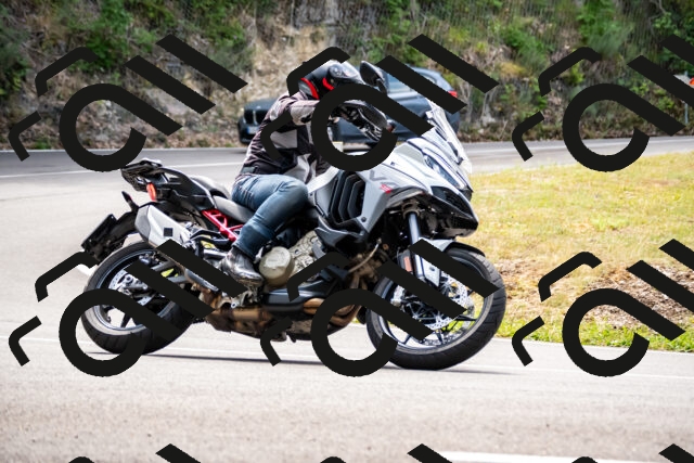 202508171208-_DSC5228_d2_