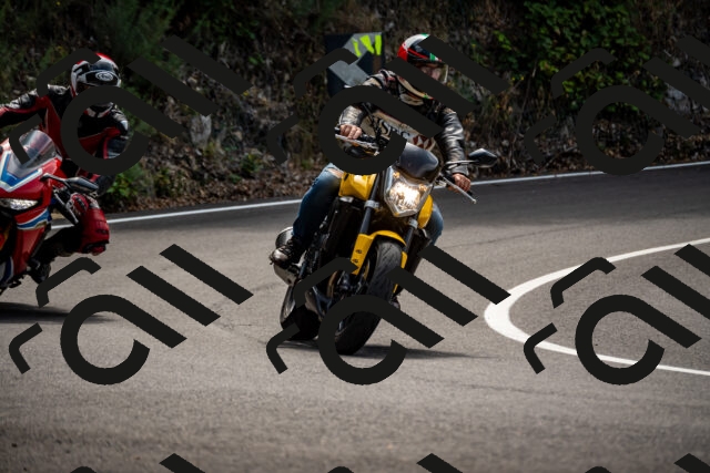 202508171208-_DSC5229_d2_