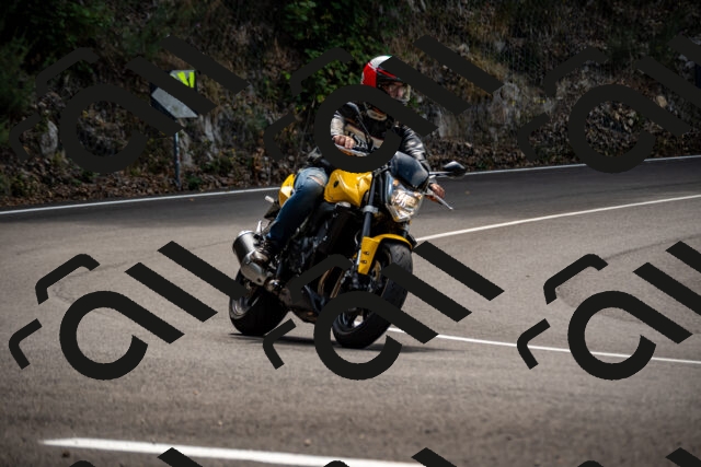 202508171208-_DSC5230_d2_