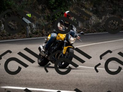 202508171208-_DSC5230_d2_