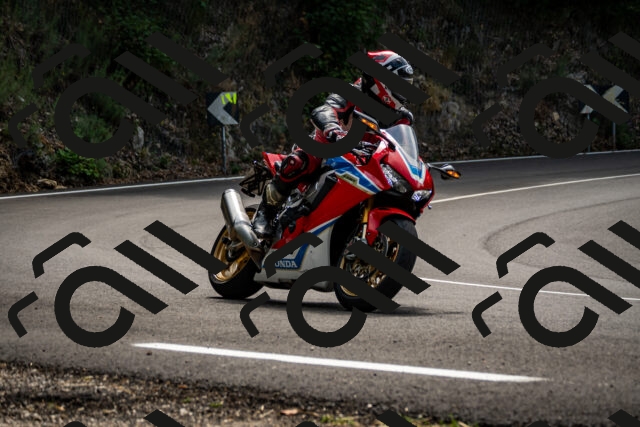 202508171208-_DSC5231_d2_