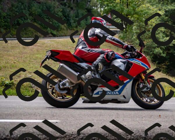 202508171208-_DSC5233_d2_