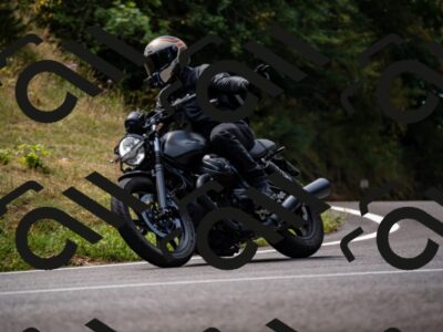 202508171209-_DSC5236_d2_