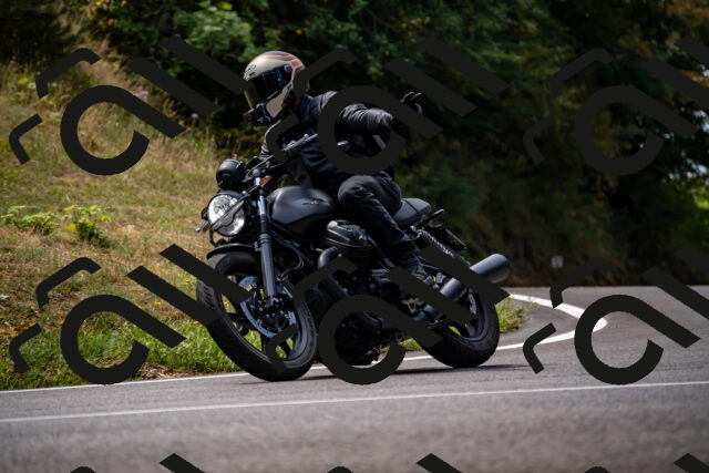 202508171209-_DSC5236_d2_